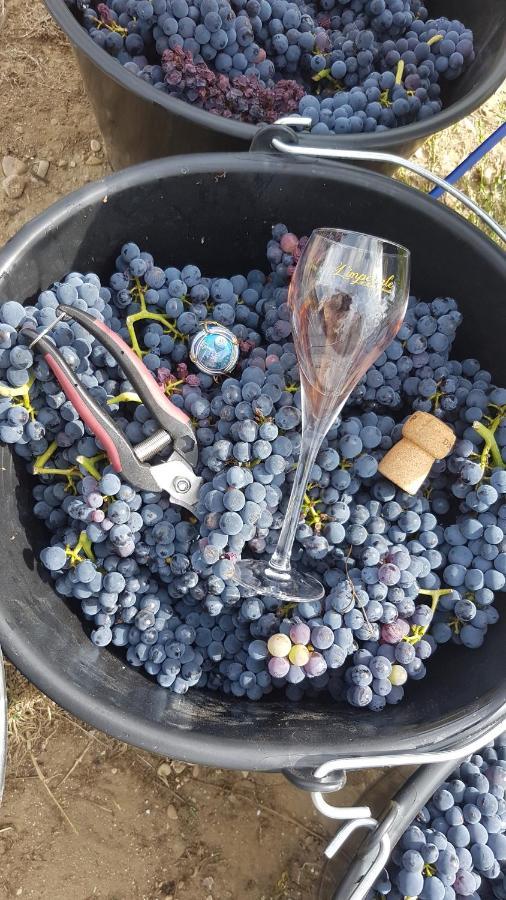 Enjoy En Champagne Maison Calme Au Milieu Du Vignoble Avec Parking Gratuit Dormans 외부 사진